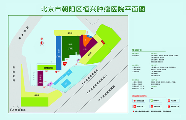 九幺xx尿尿挤奶高清视频北京市朝阳区桓兴肿瘤医院平面图